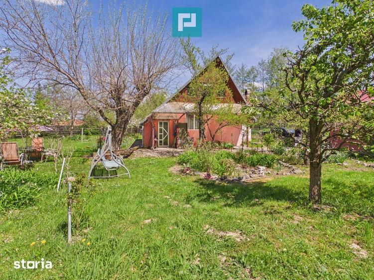 Casa Campani, 8000 mp teren, la poalele Apusenilor - 19