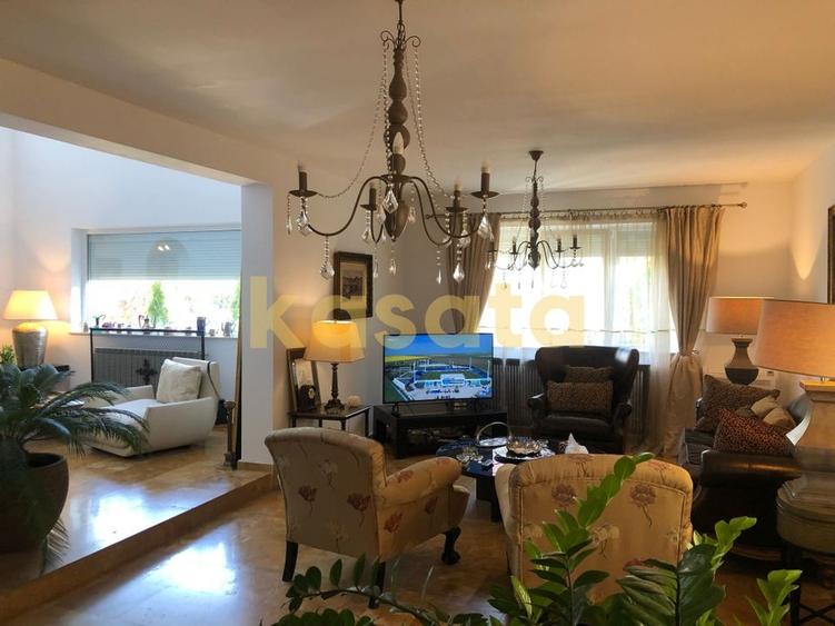 Vila deosebita 11 camere Erou Iancu Nicolae - 4