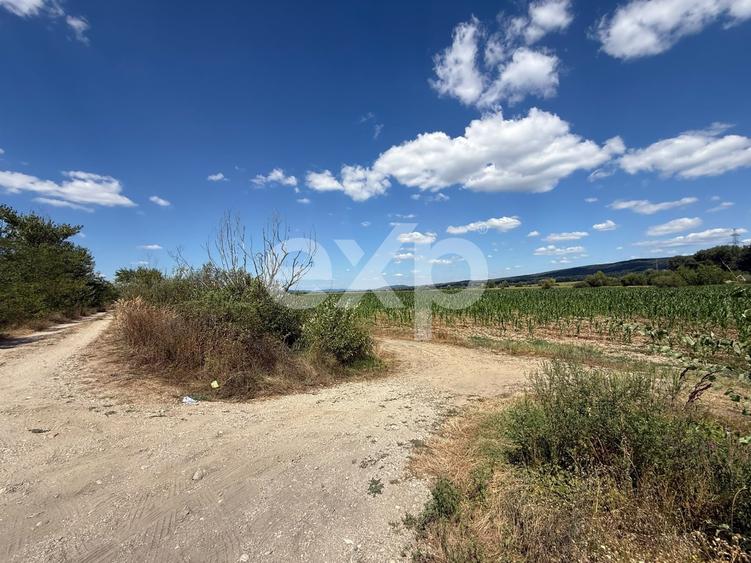 Teren agricol extravilan de 14000 mp, în Budeasa