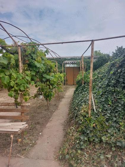 Casă cu 3 camere cu Teren 570 Mp în Biled