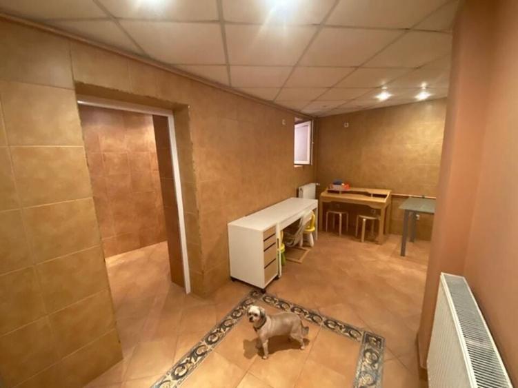 Casa individuala, gradina, Dorobanti, metrou Piata Romana - 26