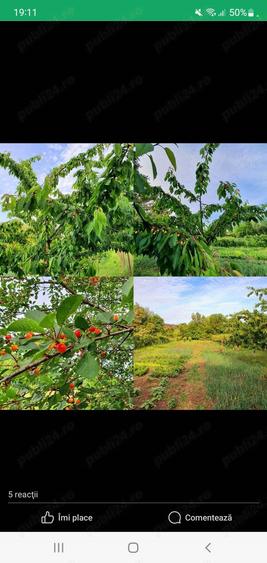 Vand casa la alb. - 3