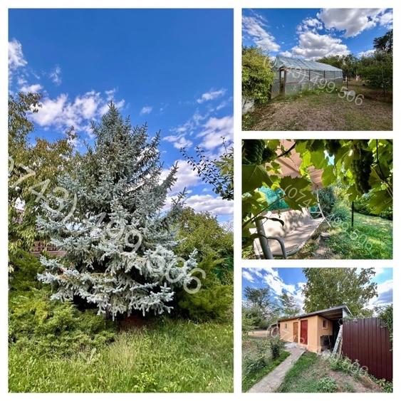 Casa de vanzare Belciugatele - DIRECT PROPRIETAR - 8