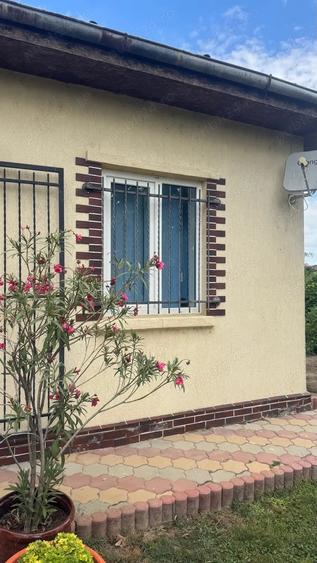 Casa cu pod mansardabil, 20 km de Delta Dunarii - 9