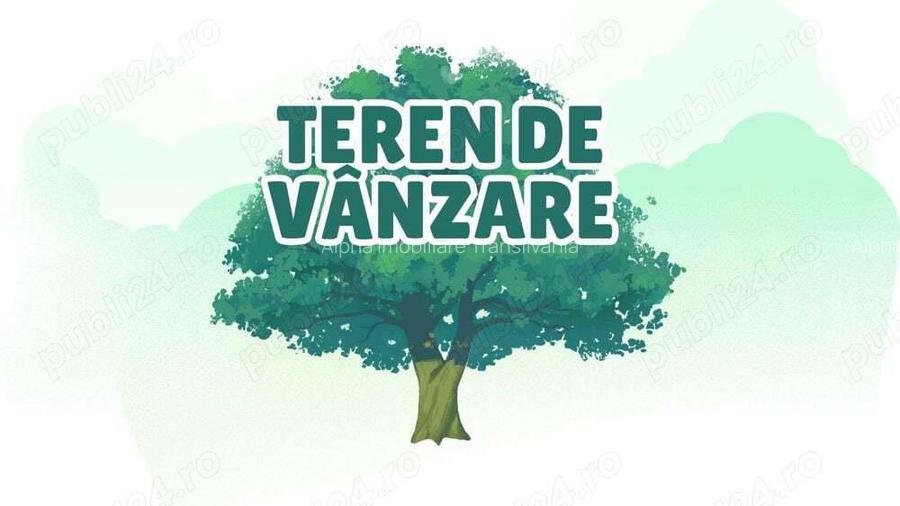 Teren intravilan pe Centura Zalaului ,2500 euro arul Teren intravilan pe Centura Zalaului ,2500 euro arul