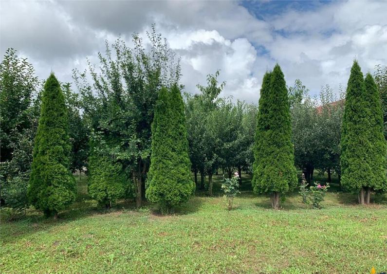 LUX Vila, pozitionare Premium, conditii apreciabile:Tur Virt - 13