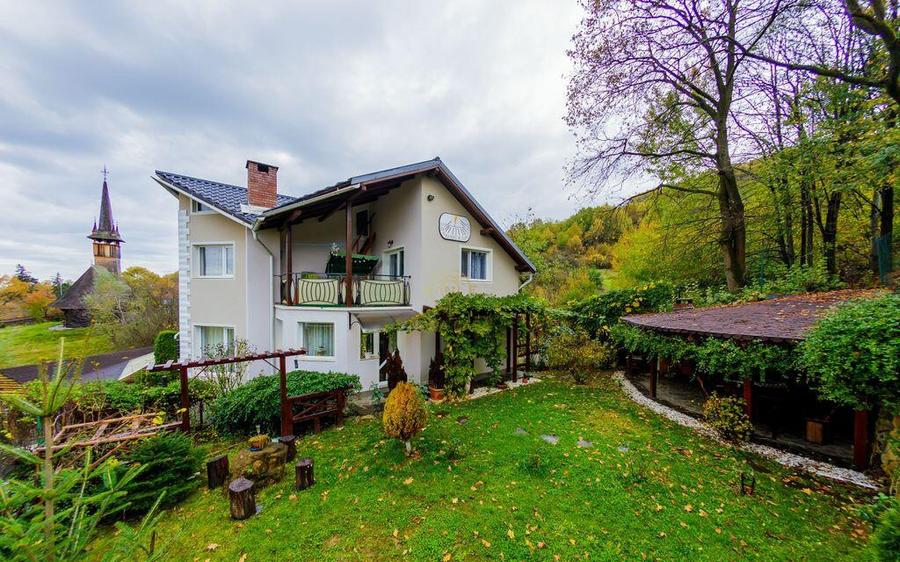 De Vanzare Vila Complet Utilata/Mobilata/Dealul Florilor ... - 5