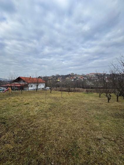 Teren intravilan str. Lalelelor - 15 ari - 4