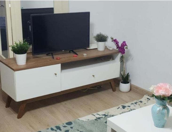 Ultracentral ap 2 camere  Airbnb investitie - 24