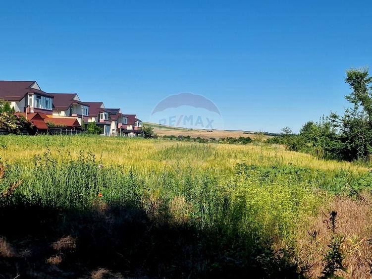 Teren intravilan Piatra Neamt - 5