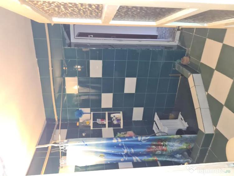 Casa Gorj zona Hobita-Brancusi. - 10