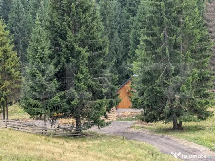 Teren intravilan de vanzare in Colibi?a oportunitate - 2