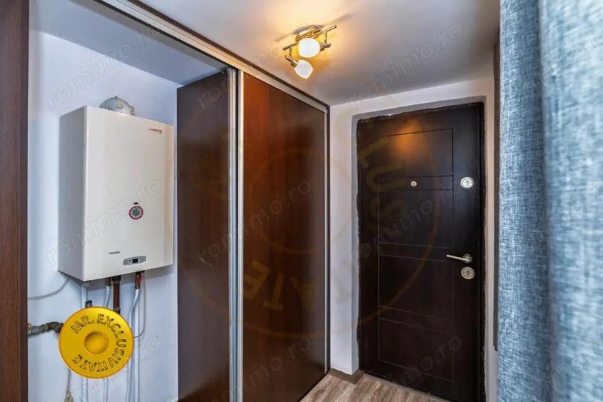 Doua case in aceeasi curte Pitesti, Strada Turcesti - 3