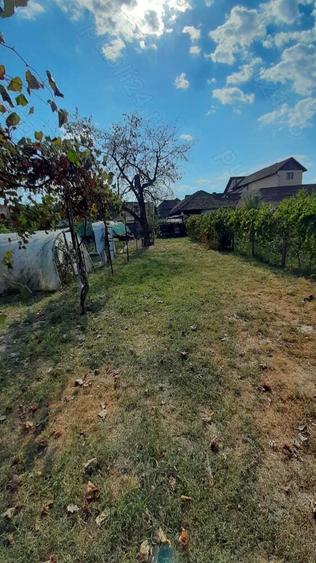 De vanzare casa, curte ?i gradina in Ora?tie - 2