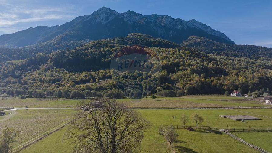 Teren 3.997 mp, priveliste superba Plaiul Foii, 0% comision - 3