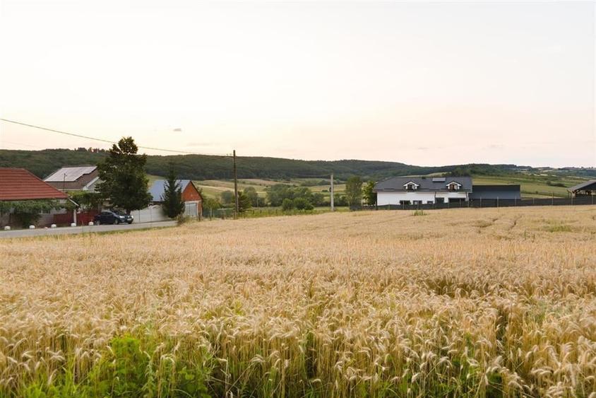 RECO Teren intravilan pentru casa  Lazareni - 5