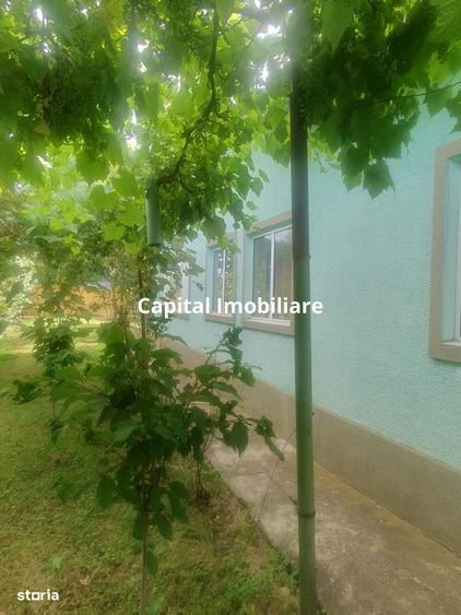 Casa Baicoi zona Schela - 1