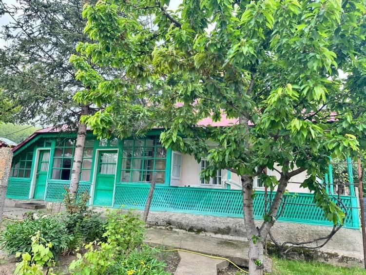 Casă traditionala cu potential de vânzare-HEMEIUS - 10