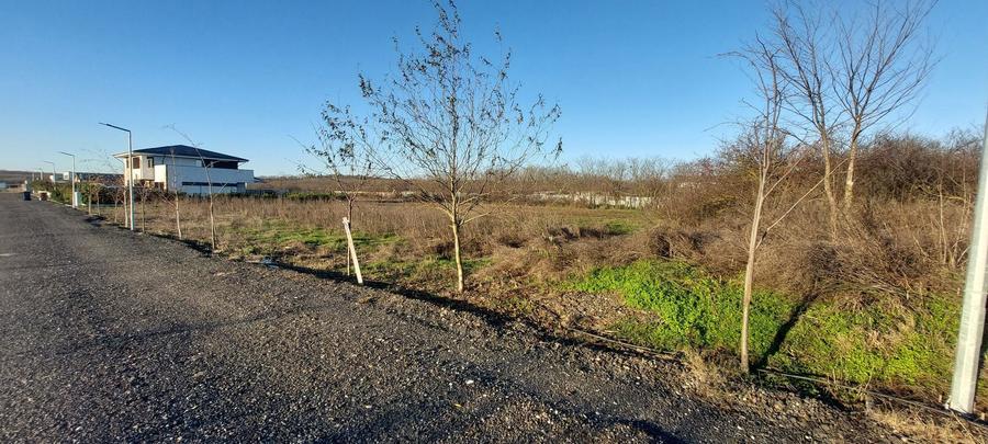 Teren de vanzare Dragomiresti Deal - 5