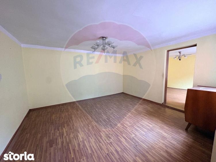 Casa cu curte generoasa ?i multiple posibilita?i zona Mo?nei - 19