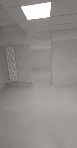 Zona Bd. Unirii S+P 213 mp open space - 4