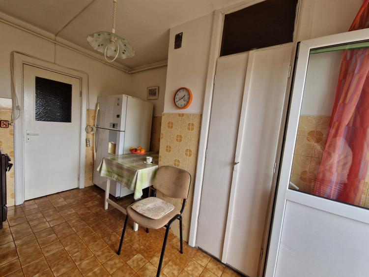 Pe cel mai frumos bulevard din oraș CORNELIU COPOSU-terasa cu vedere spre Bega - 28