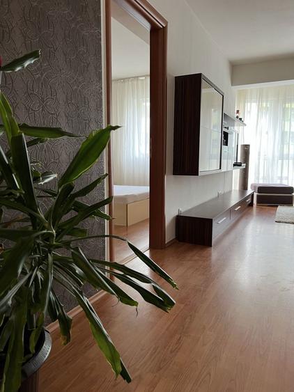 Inchiriez apartament 2 camere, Prima Nufarul - 4