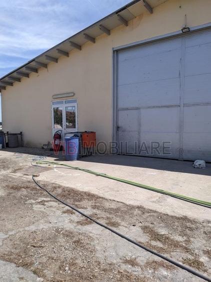 Ferma Zootehnică Mixtă – Cernateaz, Timiș | 9,5 ha | Hale Moderne, Casă 2019, Ut - 7