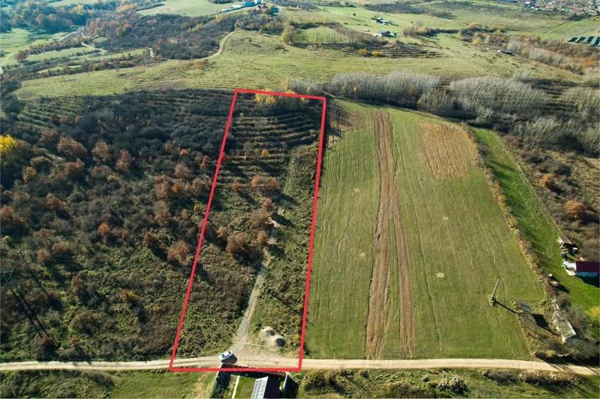 Teren 7744 mp la Coada Noului Lac de Agrement Baile Felix - 1