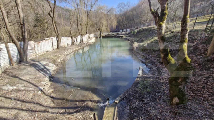 Cabana 5 camere, 140 mp utili, 3000 mp teren,valea Inzelului - 6