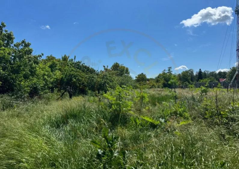 Teren Snagov Ideal pentru dezvoltare reziden?iala sau - 4