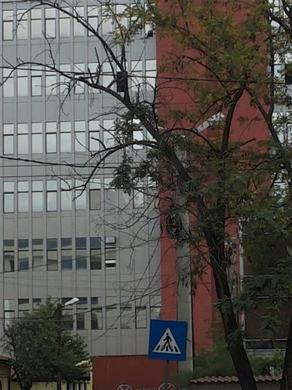 Inchirieri spatii pentru birouri de la 50 mp - 11