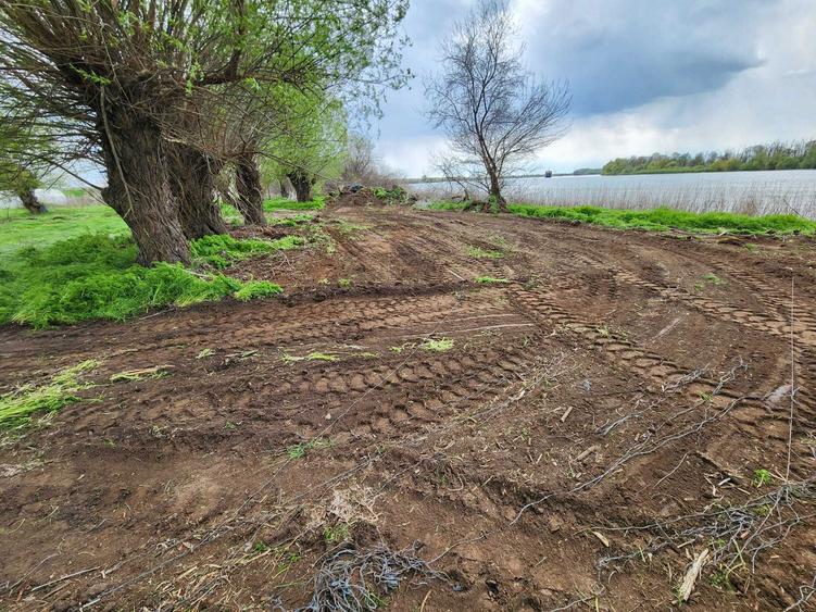 Teren Delta Dunarii 1.000 mp - Teren Pardina (Bratul Chilia) - 2