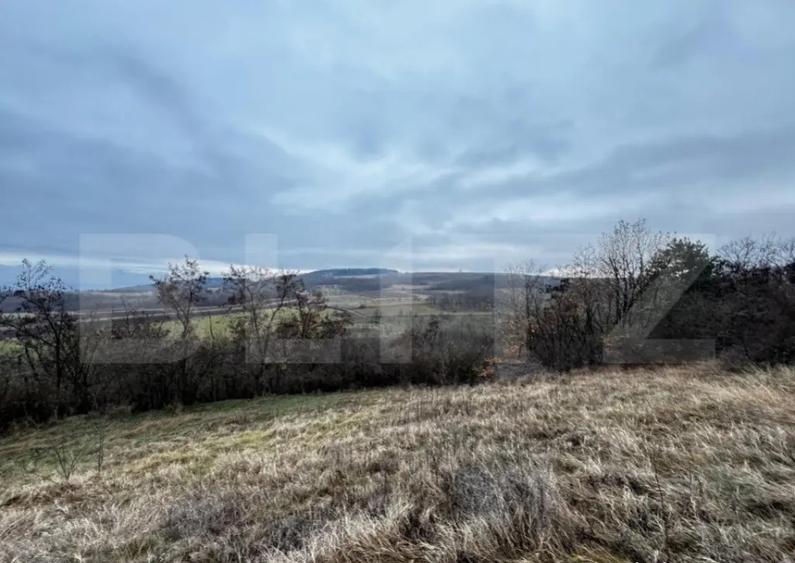 Teren extravilan 4300 mp, zona Criseni - Paclisa - 2