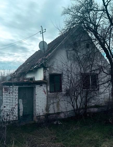 Casa de vanzare in sat Rapsig jud Arad cu 1400 m2 pamant - 2