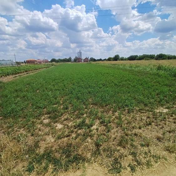 Vand/schimb teren - 3