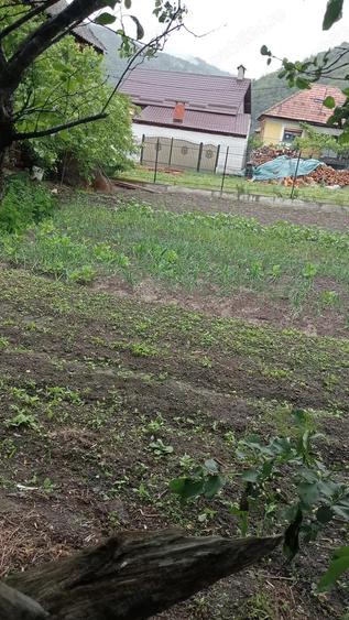 Casa la tara pe Valea Oltului - 2