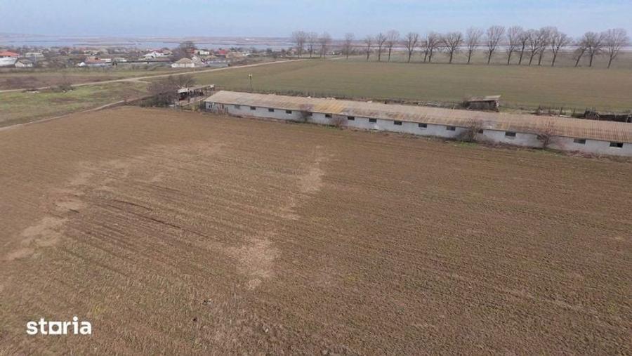 VAND sau INCHIRIEZ FERMA in Salcioara, judet Tulcea - 4