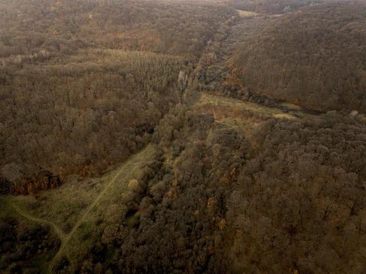 RECO . Teren extravilan . Saldabagiu de munte . - 6