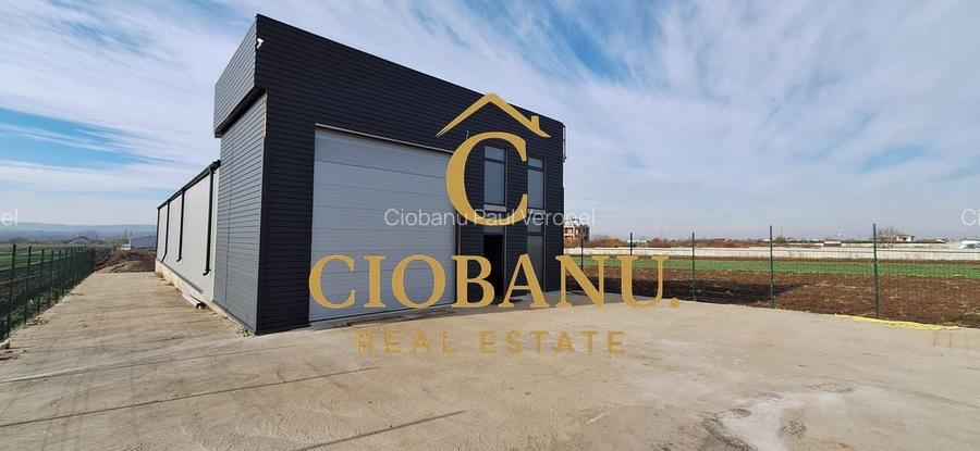 Hala de vanzare in Racari de Jos