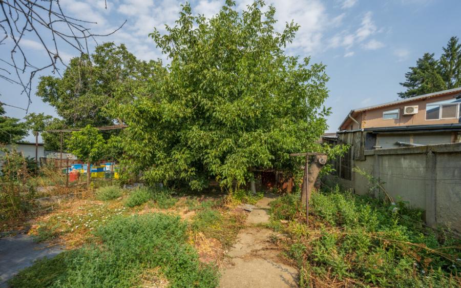 CHIAJNA - CASA RENOVABILA 129 MP, LOT 690 MP! - 8