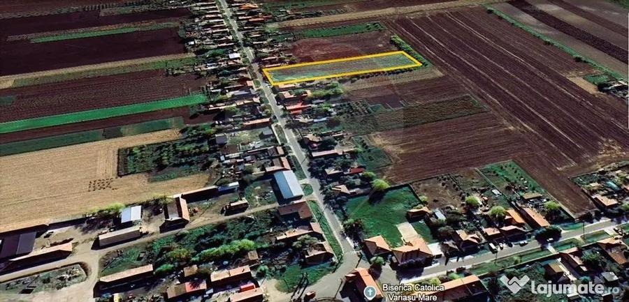 Teren intravilan 5,018mp Variasu Mare - 15 km de Arad/ st... - 9