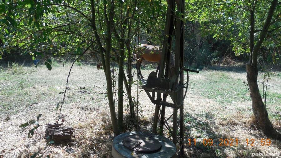 Casa taraneasca si teren comuna Murgasi sat Balota de Jos DJ - 5