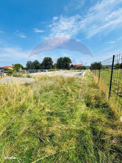 Teren 1,042mp Sarasau / Strada Sarasau - 5
