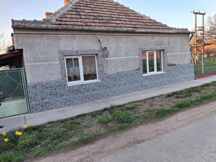 casa otelec - 7