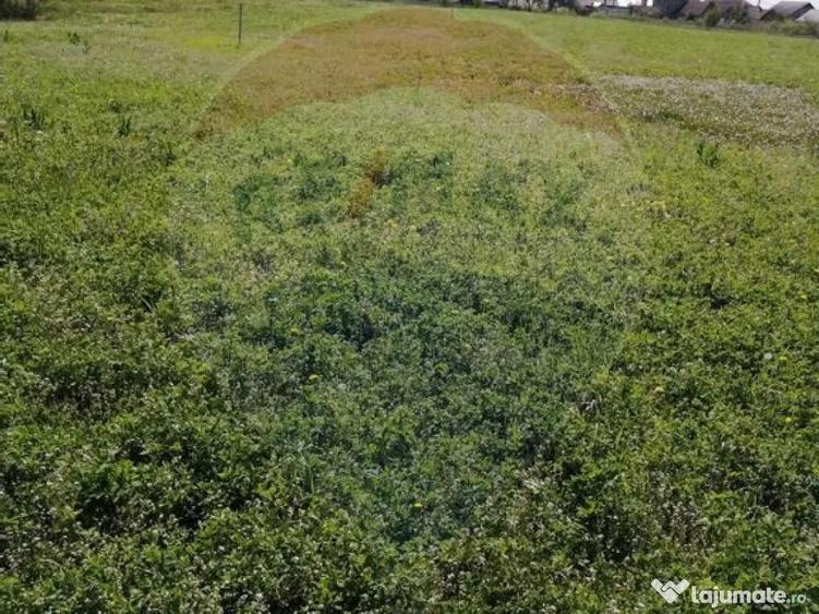 De vanzare teren intravilan, 6574 mp in Le? - 2