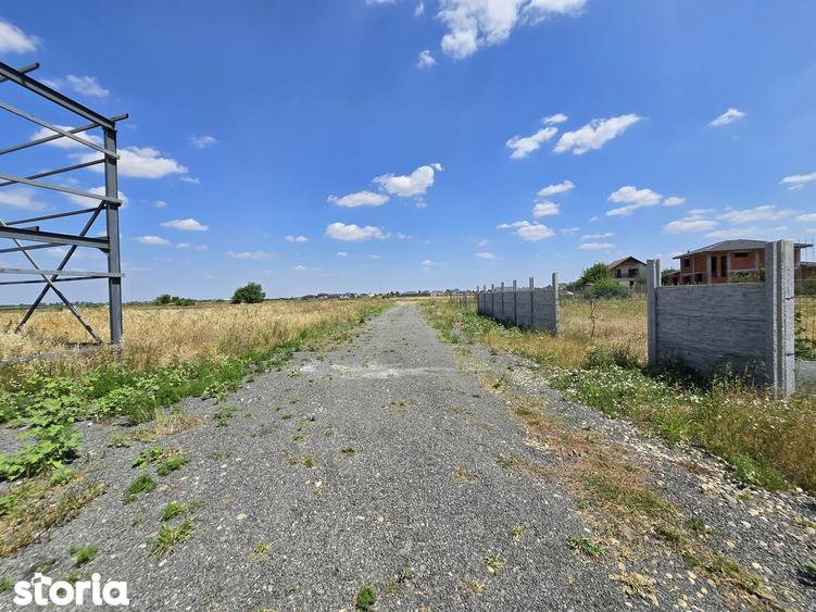 Teren intravilan 564 mp Zimandcuz - 2