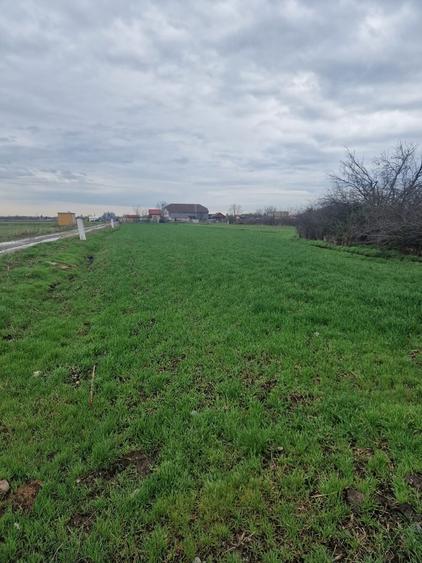 Fundulea Teren 1000 mp 25 min Bucuresti Deschidere 55m - 2