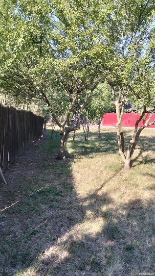 Casa batraneasca 18.000 euro - 9