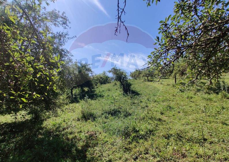 Teren intravilan in Remetea Chioarului - 2